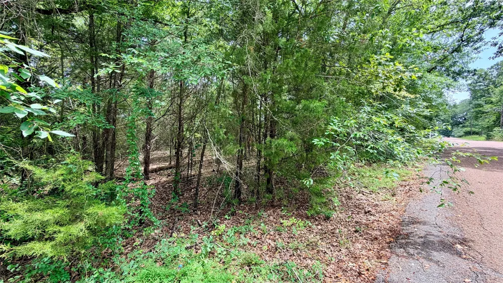 180 Vista Drive Eustace, TX 75124