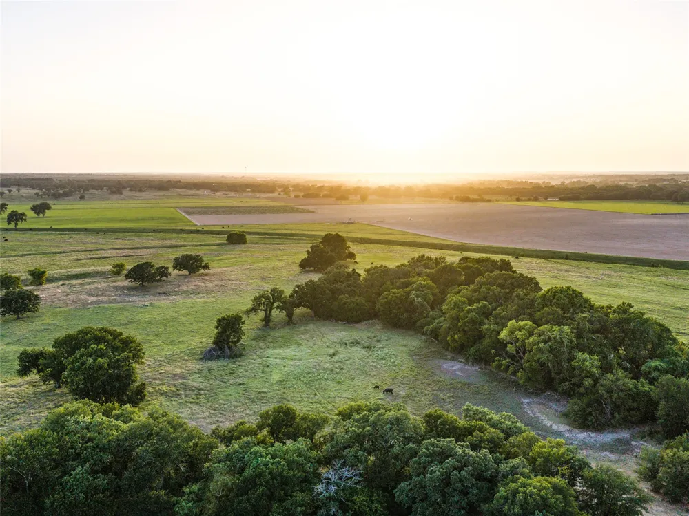 FM 51 Paradise, TX 76073