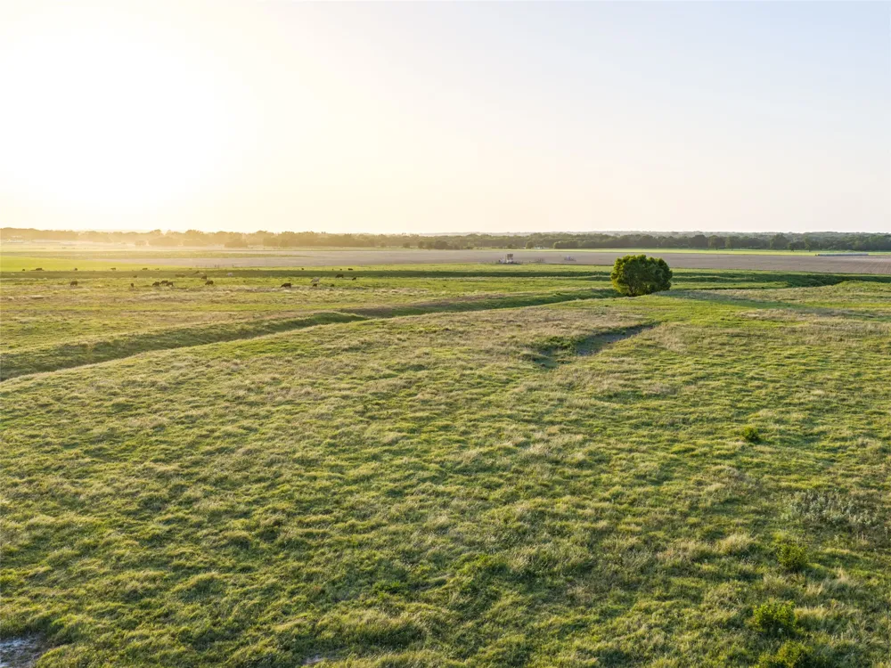 FM 51 Paradise, TX 76073