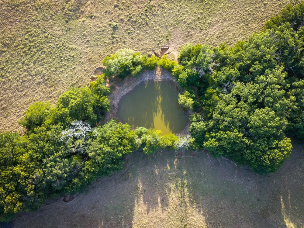 FM 51 Paradise, TX 76073