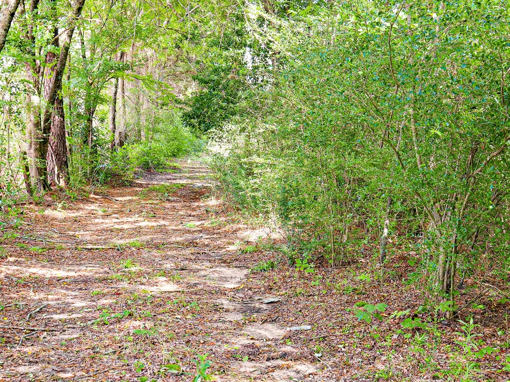 10375 County Road 338 Lindale, TX 75771