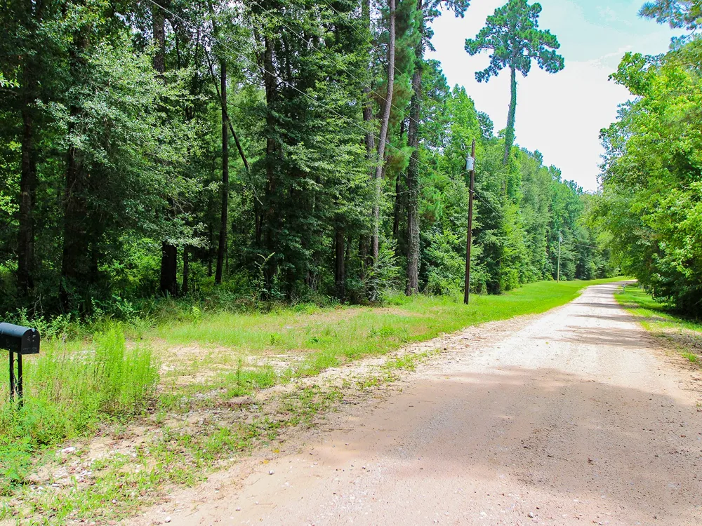 105 Gourd Creek Drive Huntsville, TX 77340