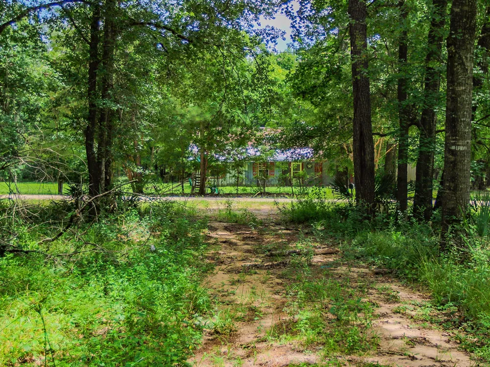 105 Gourd Creek Drive Huntsville, TX 77340