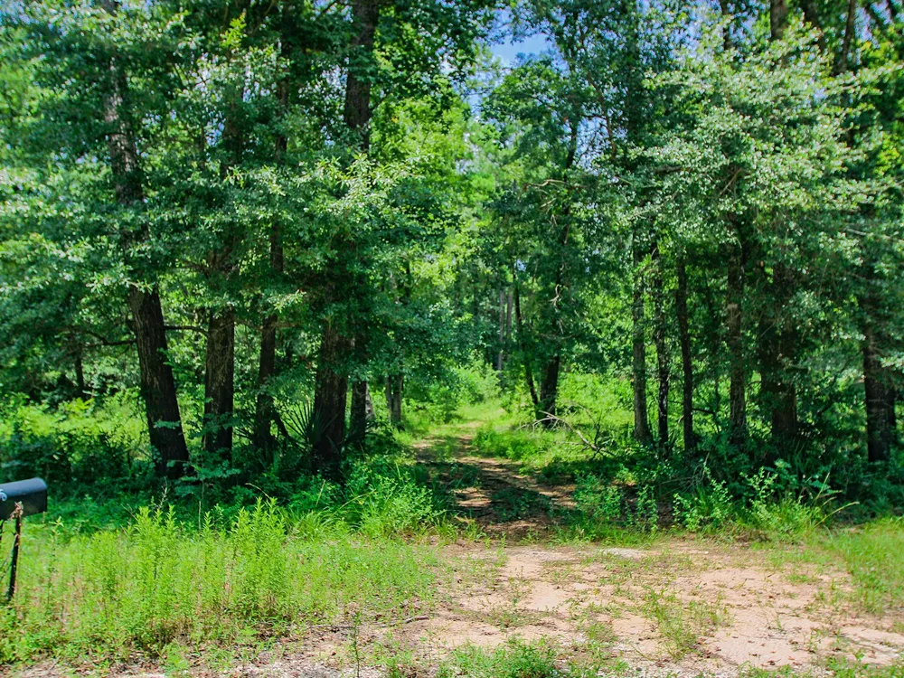 105 Gourd Creek Drive Huntsville, TX 77340