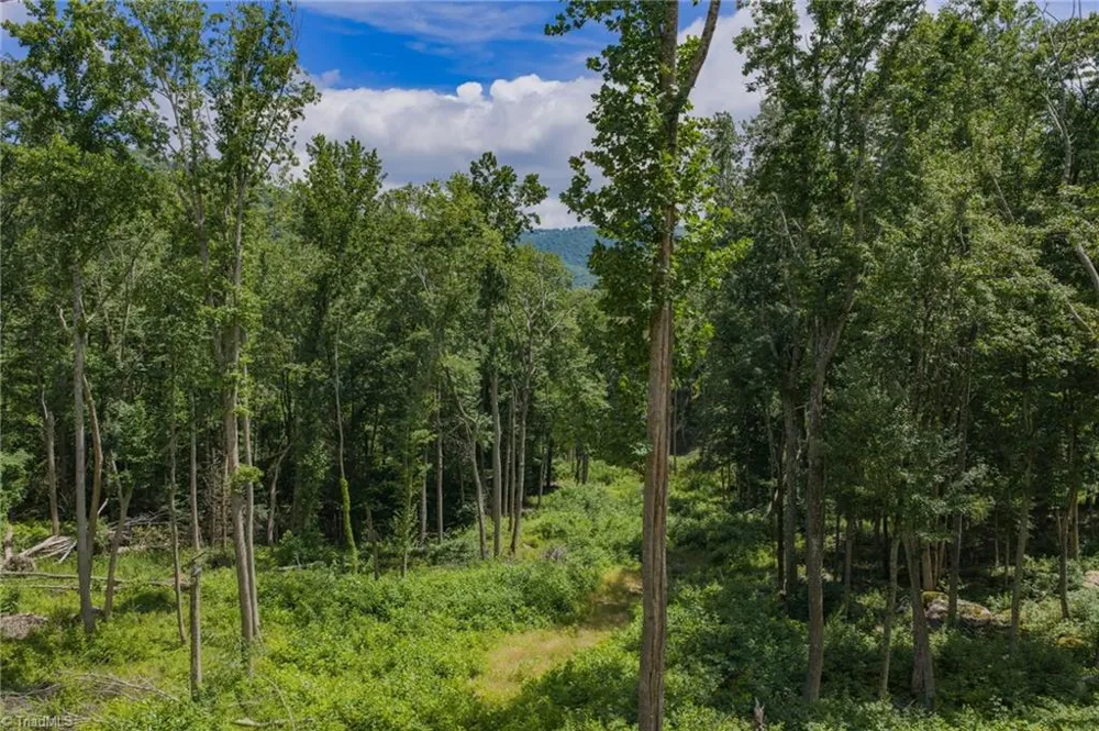 Lot C83 SmokeRise Drive Banner Elk, NC 28622