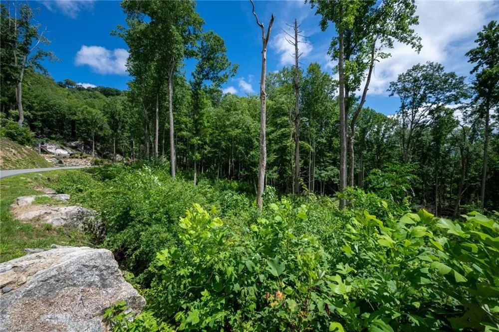 Lot C83 SmokeRise Drive Banner Elk, NC 28622