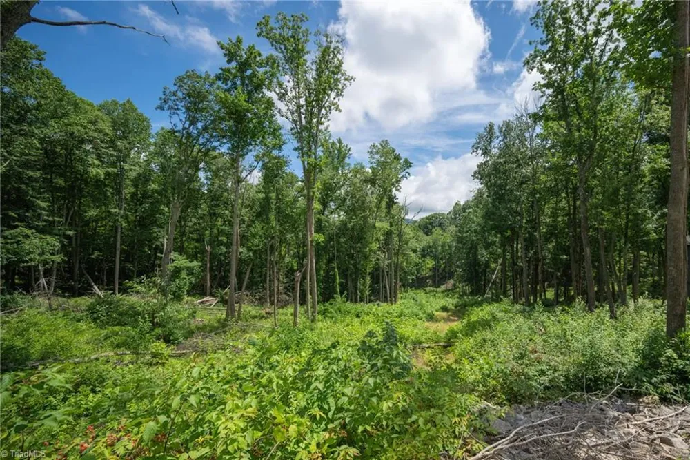 Lot C83 SmokeRise Drive Banner Elk, NC 28622