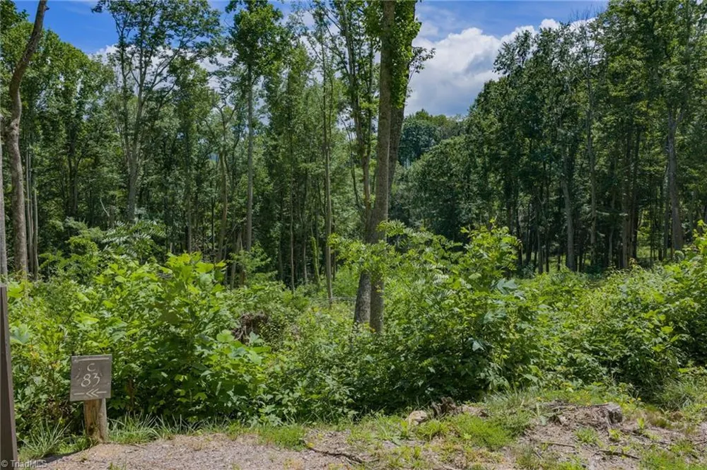 Lot C83 SmokeRise Drive Banner Elk, NC 28622