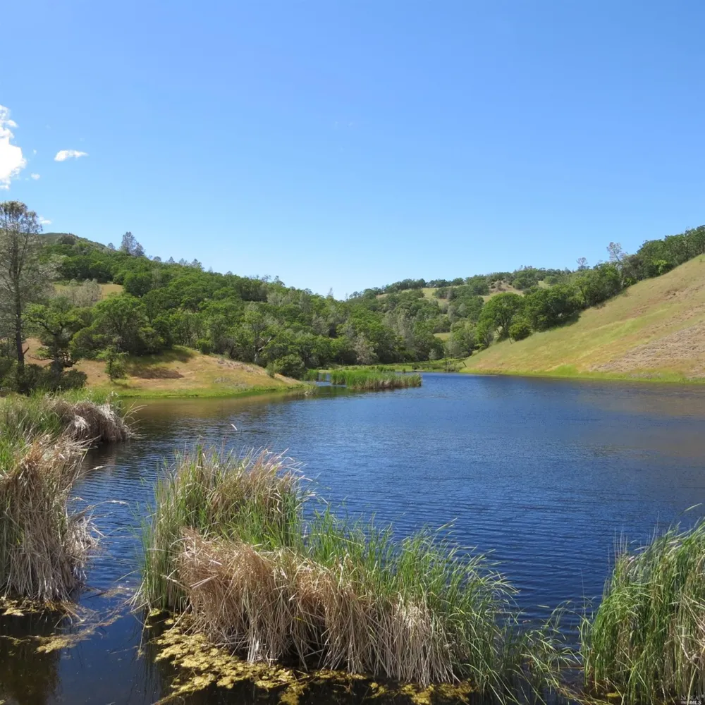 34360 San Antonio Valley Road San Jose, CA 94550