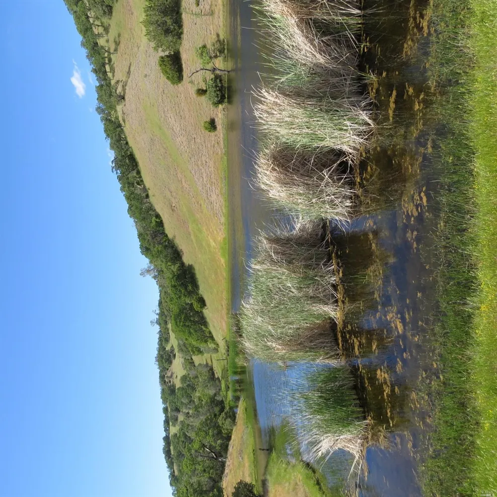 34360 San Antonio Valley Road San Jose, CA 94550