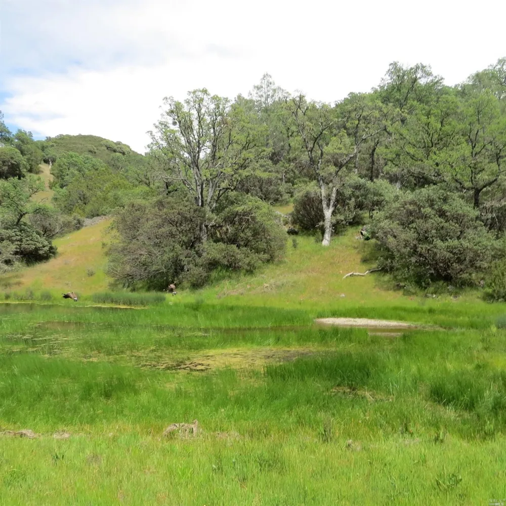 34360 San Antonio Valley Road San Jose, CA 94550