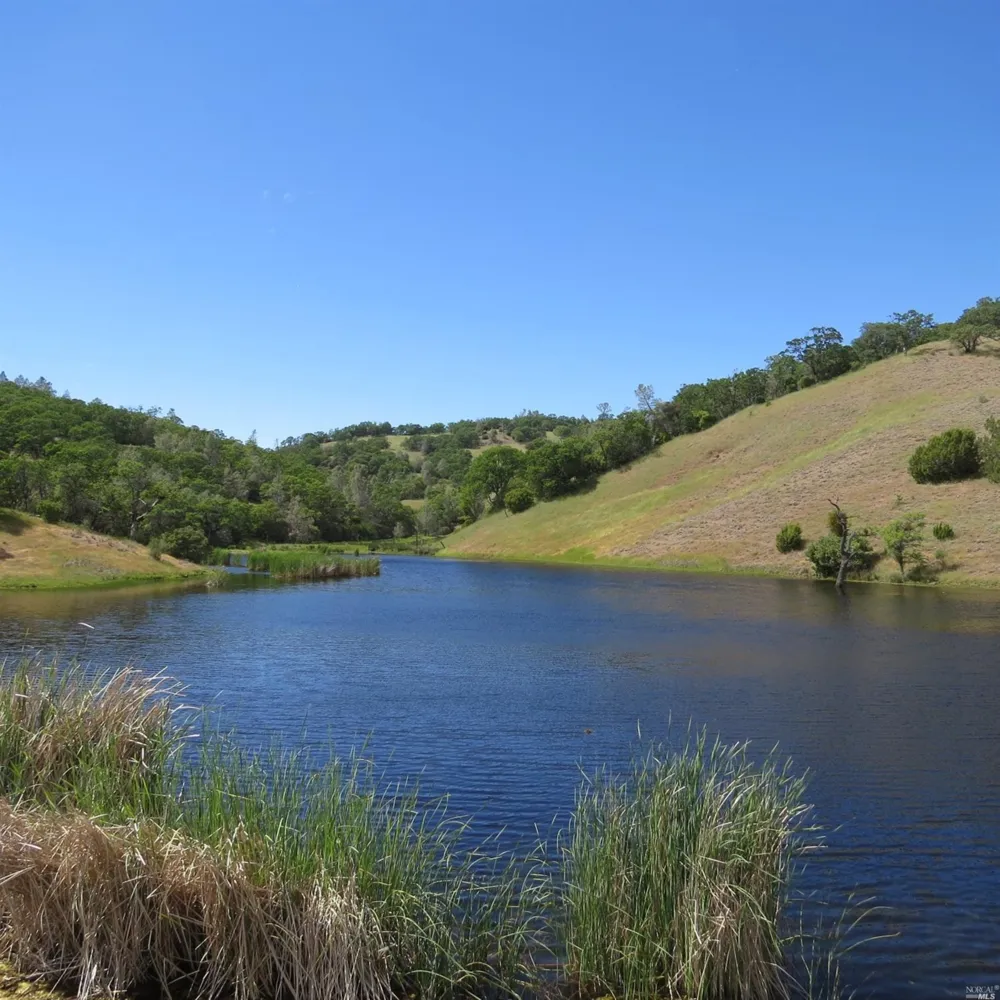 34360 San Antonio Valley Road San Jose, CA 94550