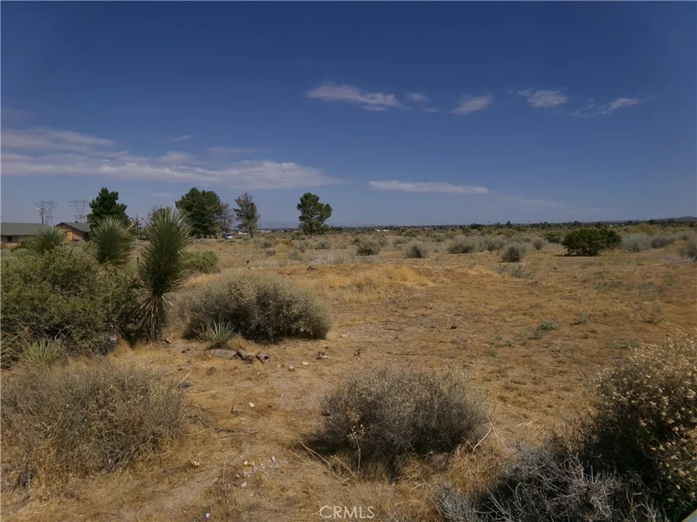 Rancho Road Phelan, CA 92371