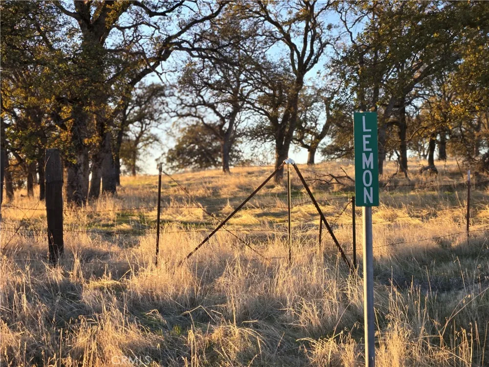 Avacado Road Bangor, CA 95914