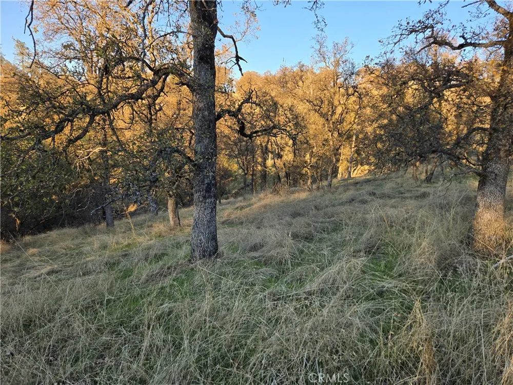 Avacado Road Bangor, CA 95914