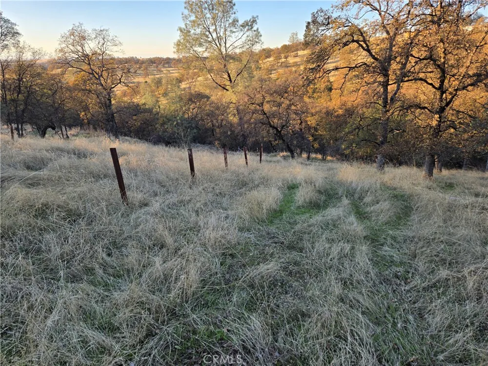 Avacado Road Bangor, CA 95914