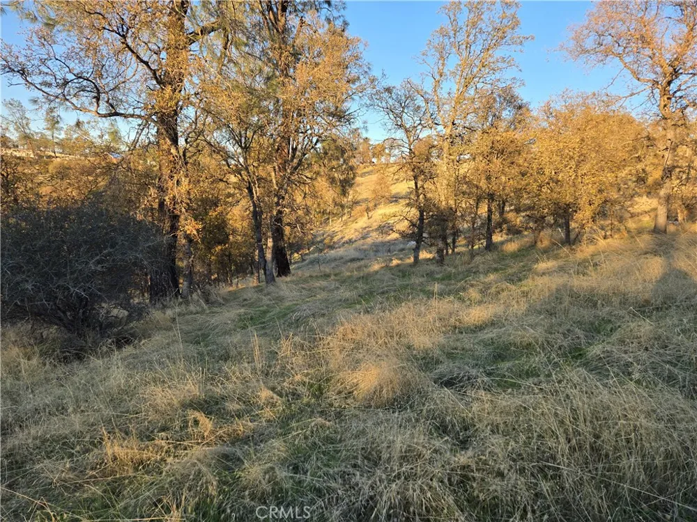 Avacado Road Bangor, CA 95914