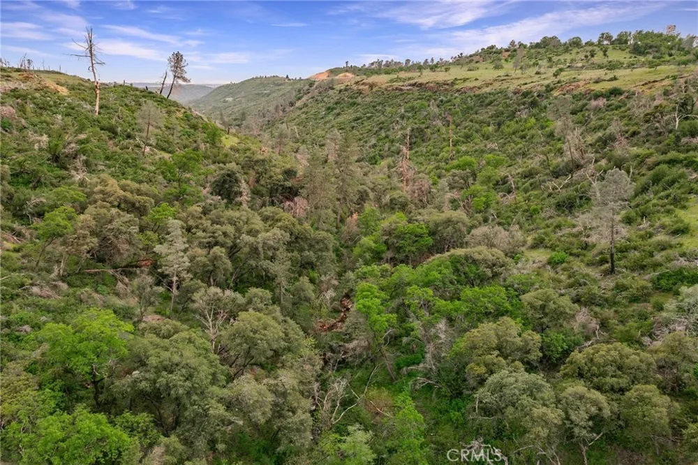 Clark Paradise, CA 95969