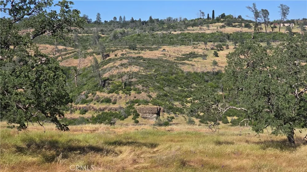 Clark Paradise, CA 95969
