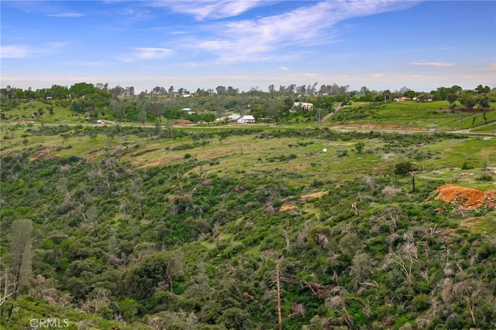 Clark Paradise, CA 95969