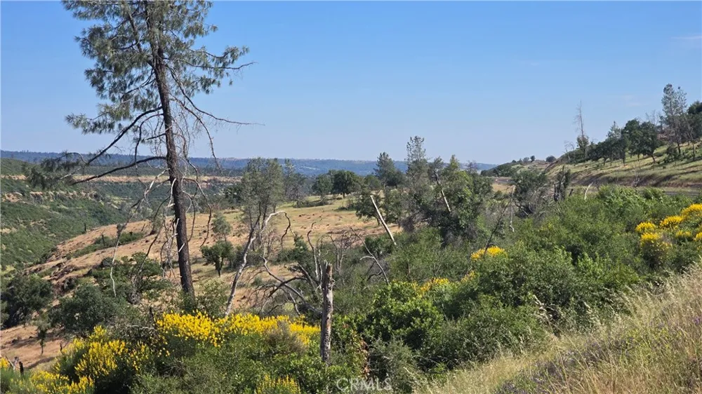Clark Paradise, CA 95969