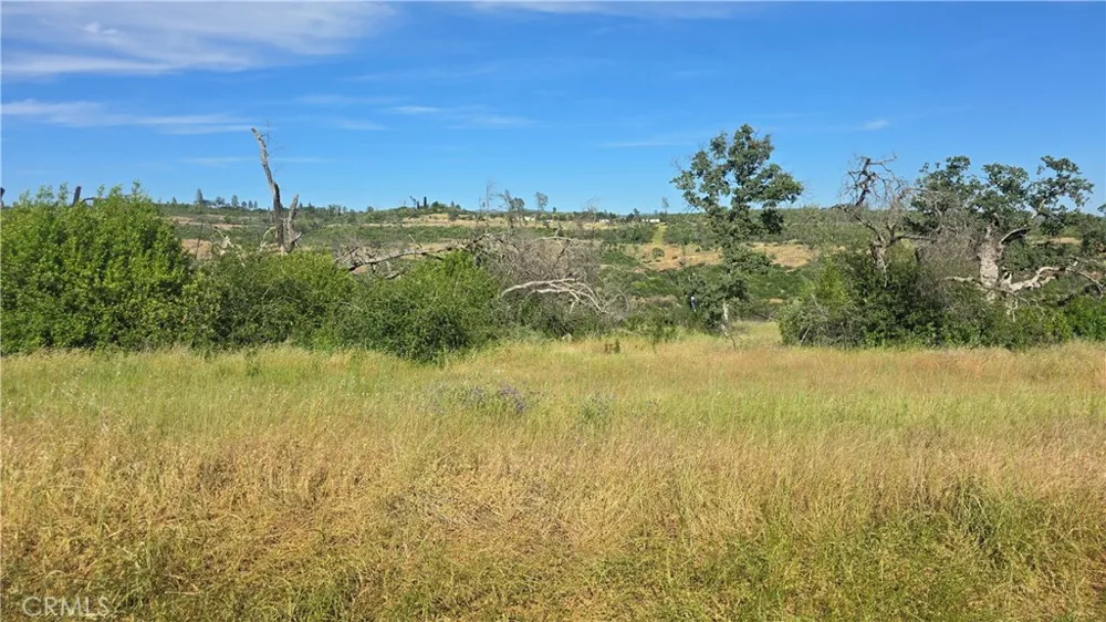 Clark Paradise, CA 95969