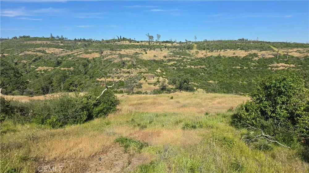 Clark Paradise, CA 95969