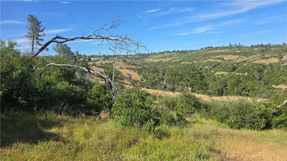 Clark Paradise, CA 95969