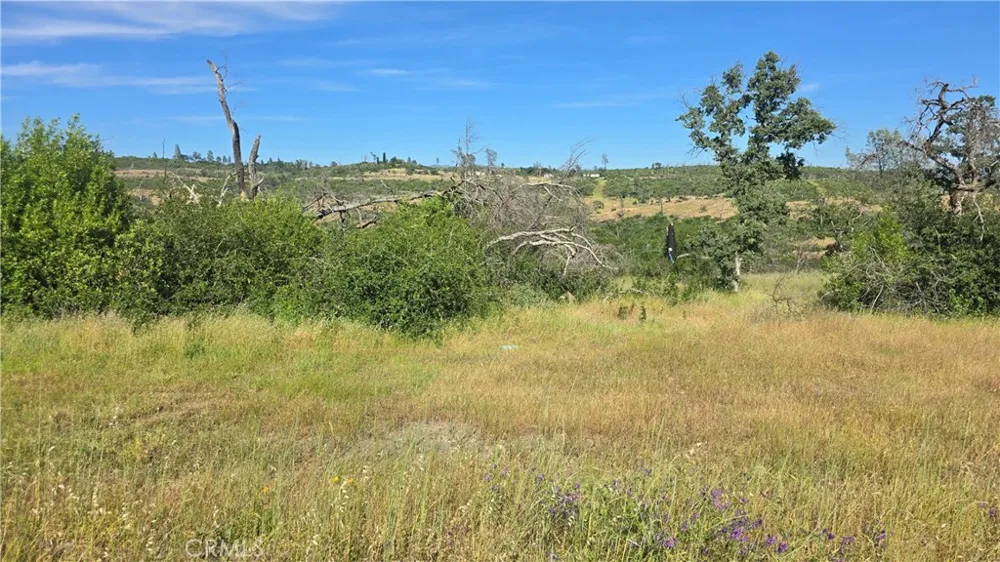 Clark Paradise, CA 95969