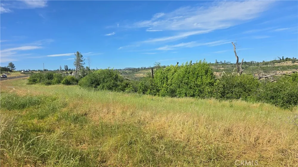 Clark Paradise, CA 95969