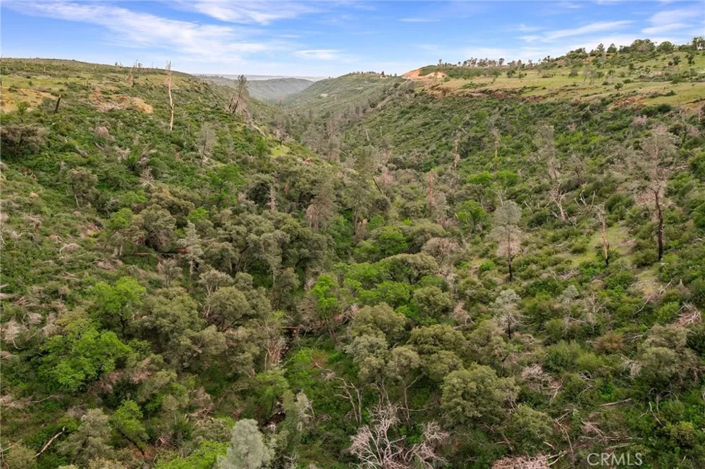Clark Paradise, CA 95969