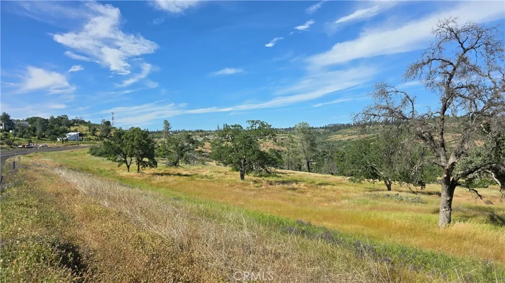 Clark Paradise, CA 95969