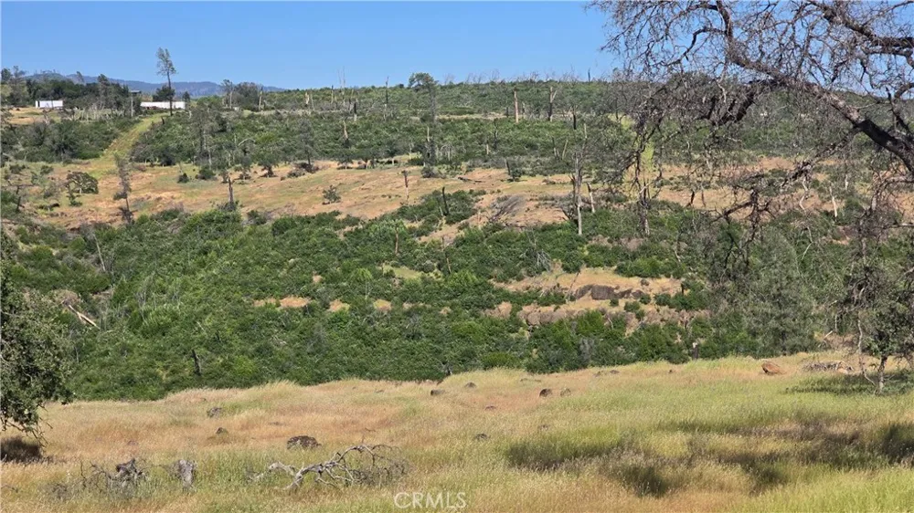 Clark Paradise, CA 95969