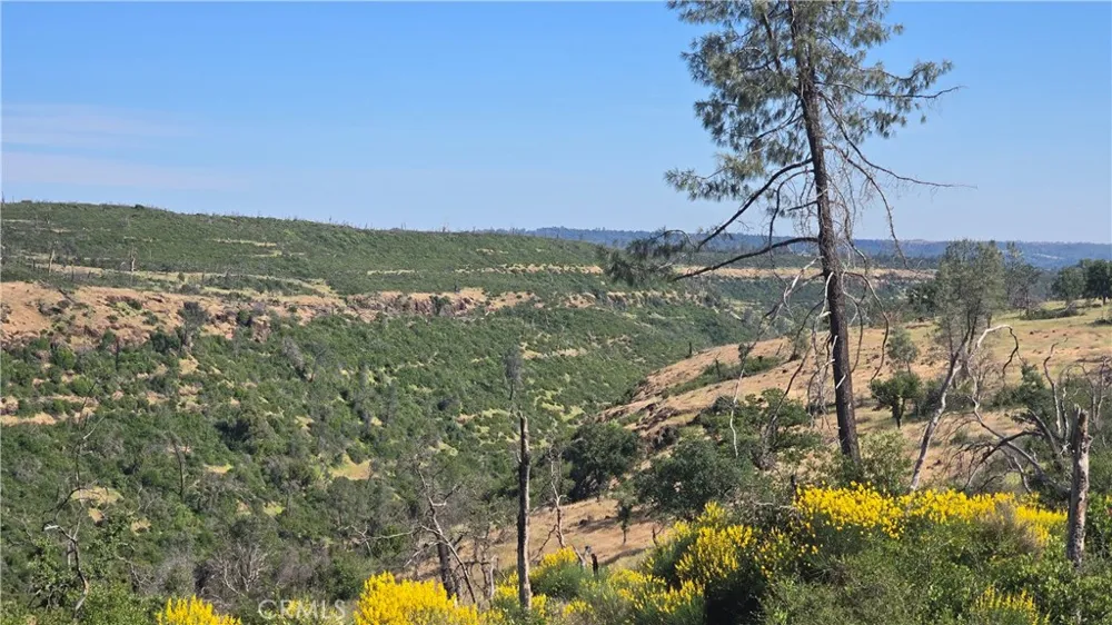 Clark Paradise, CA 95969