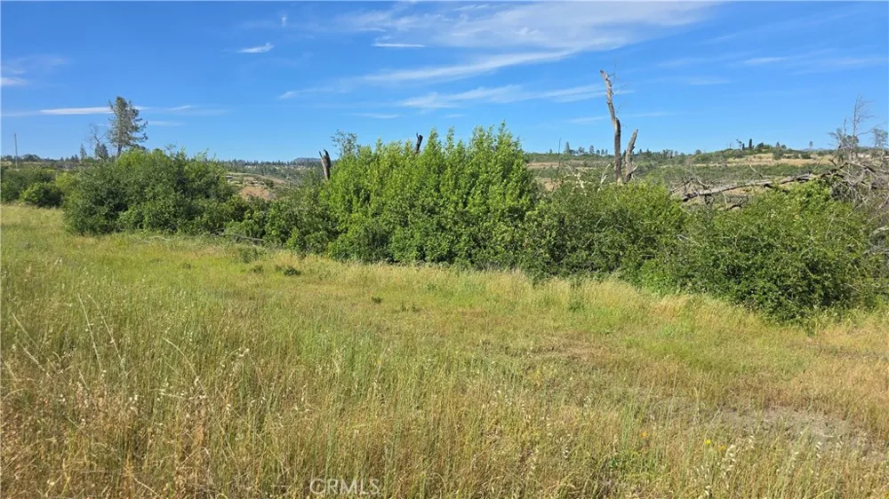 Clark Paradise, CA 95969
