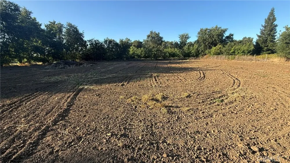 707 Justeson Gridley, CA 95948