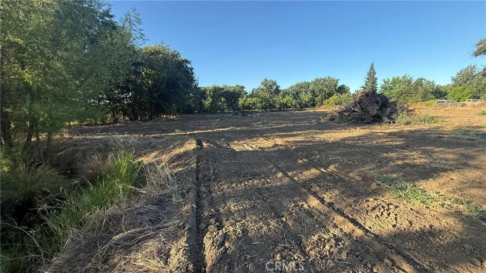 707 Justeson Gridley, CA 95948
