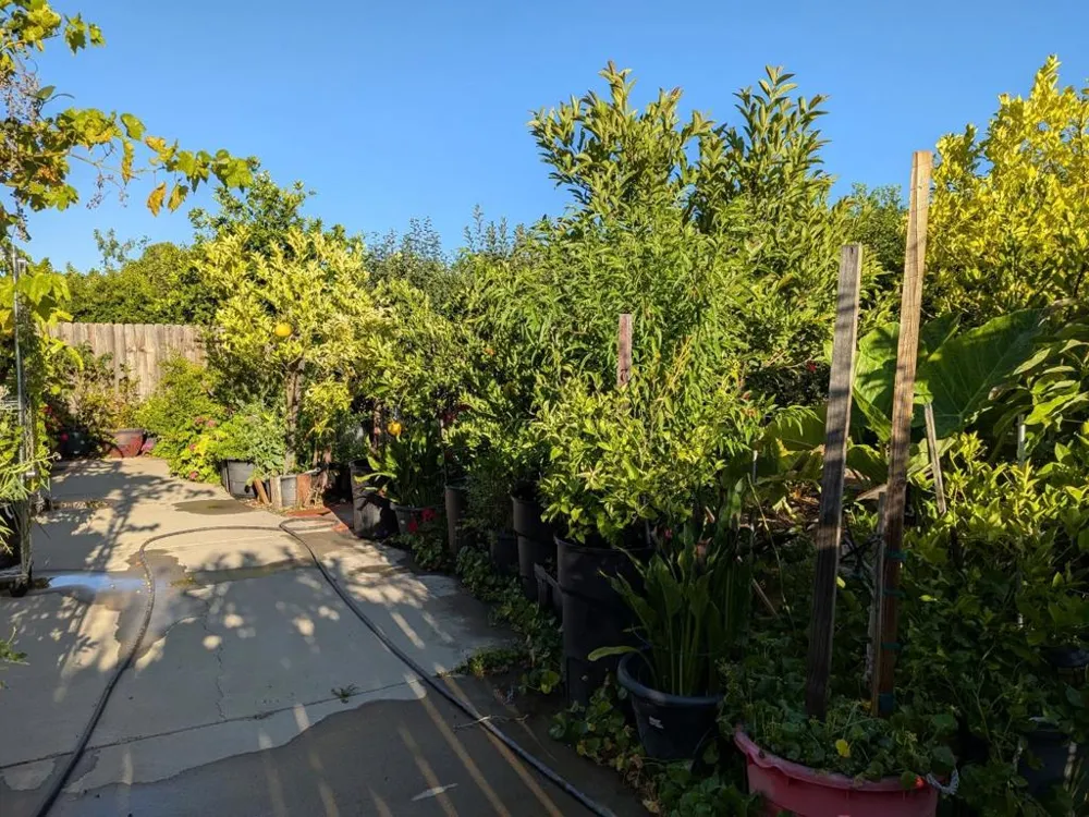 2517 JAYDEN WAY Stockton, CA 95212