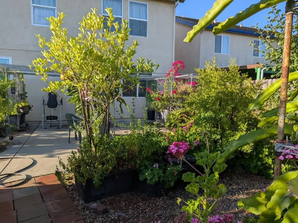 2517 JAYDEN WAY Stockton, CA 95212