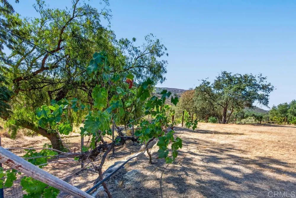 21041 Black Canyon Road Ramona, CA 92065