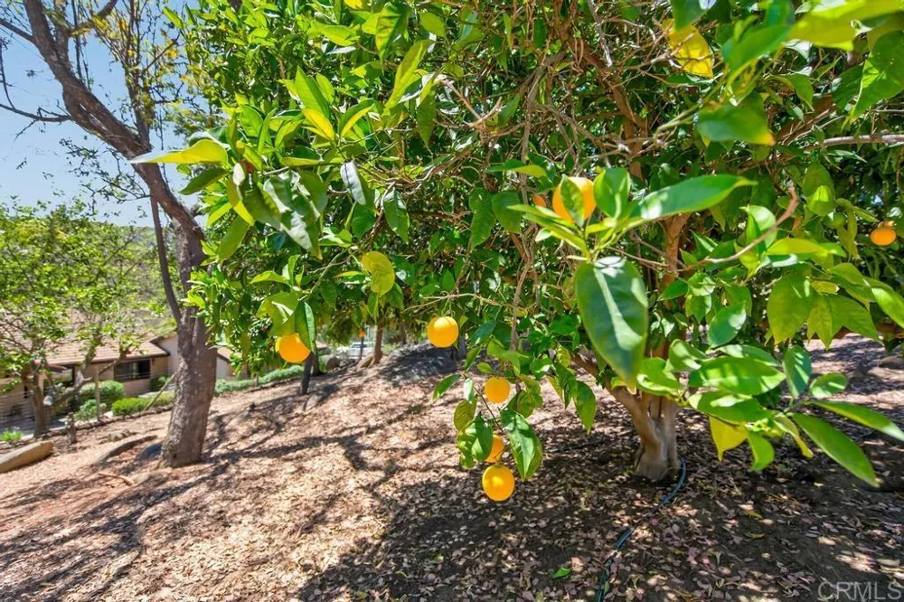 21041 Black Canyon Road Ramona, CA 92065