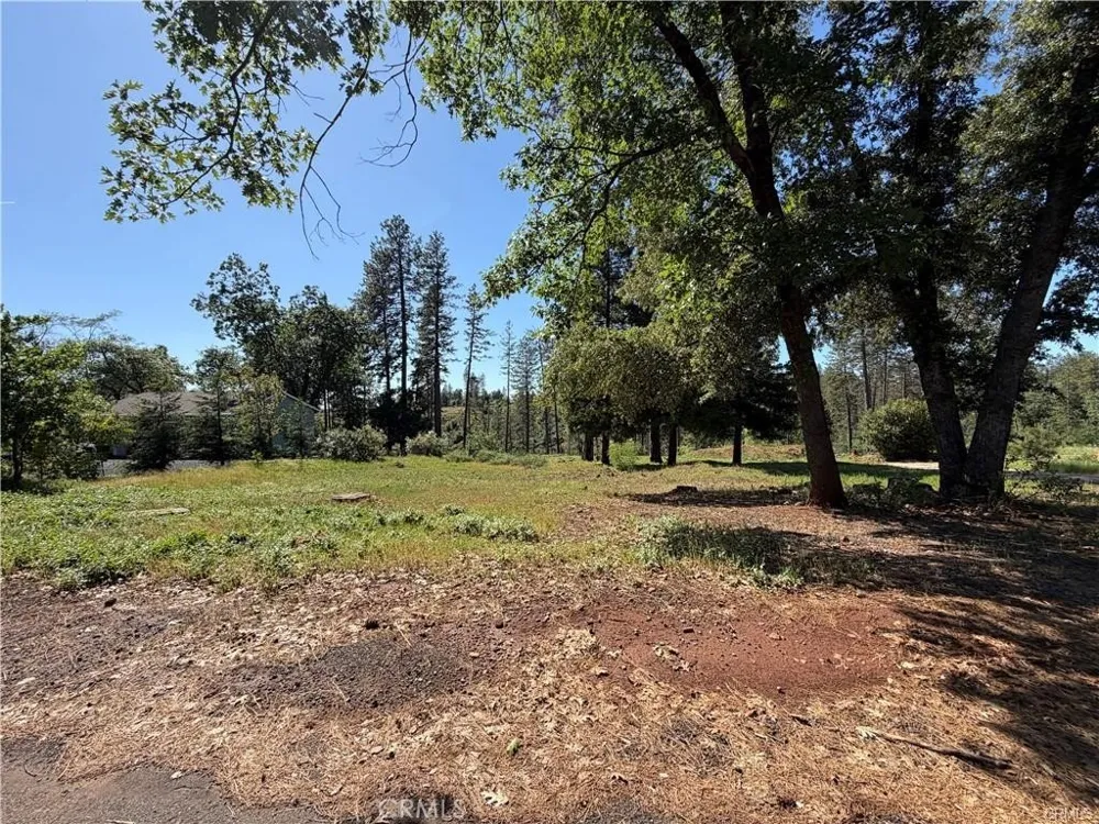 5665 Chaney Paradise, CA 95969