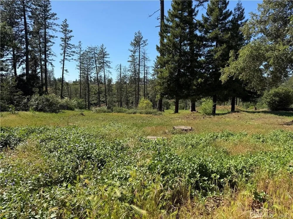 5665 Chaney Paradise, CA 95969
