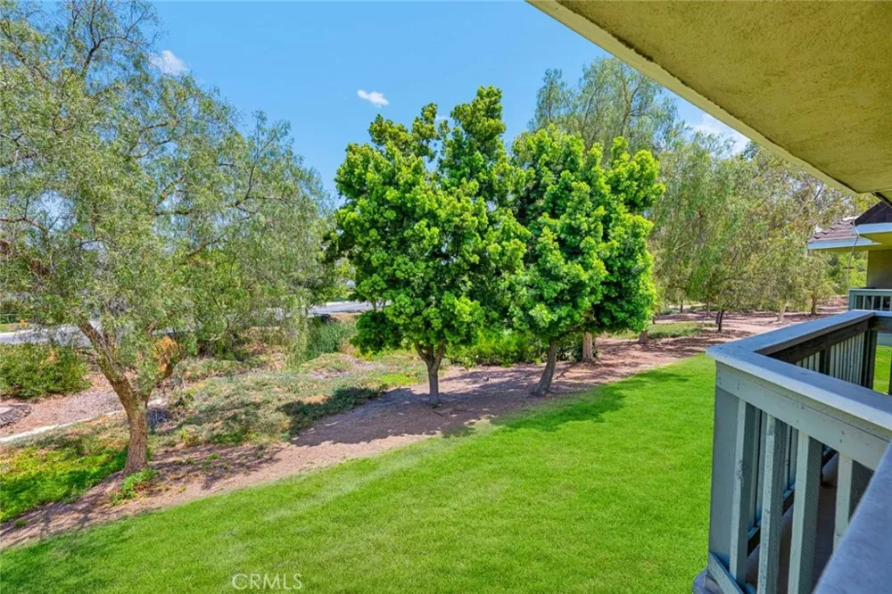 23432 Caminito Salado Laguna Hills, CA 92653