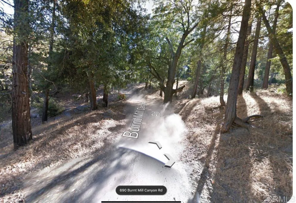 Burnt Creek Canyon Road Cedarpines Park, CA 92322