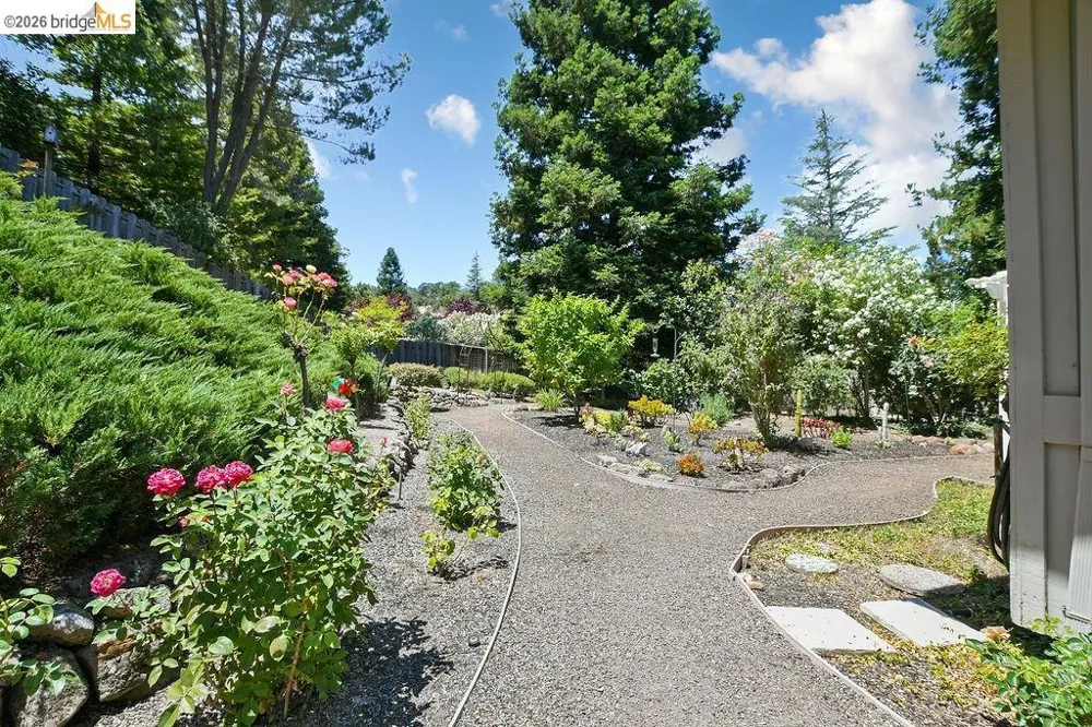 2090 Pebble Dr Alamo, CA 94507
