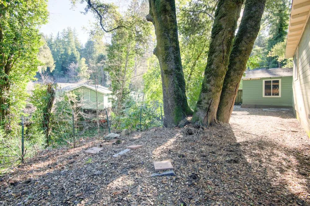 383 Riverview Drive Boulder Creek, CA 95006