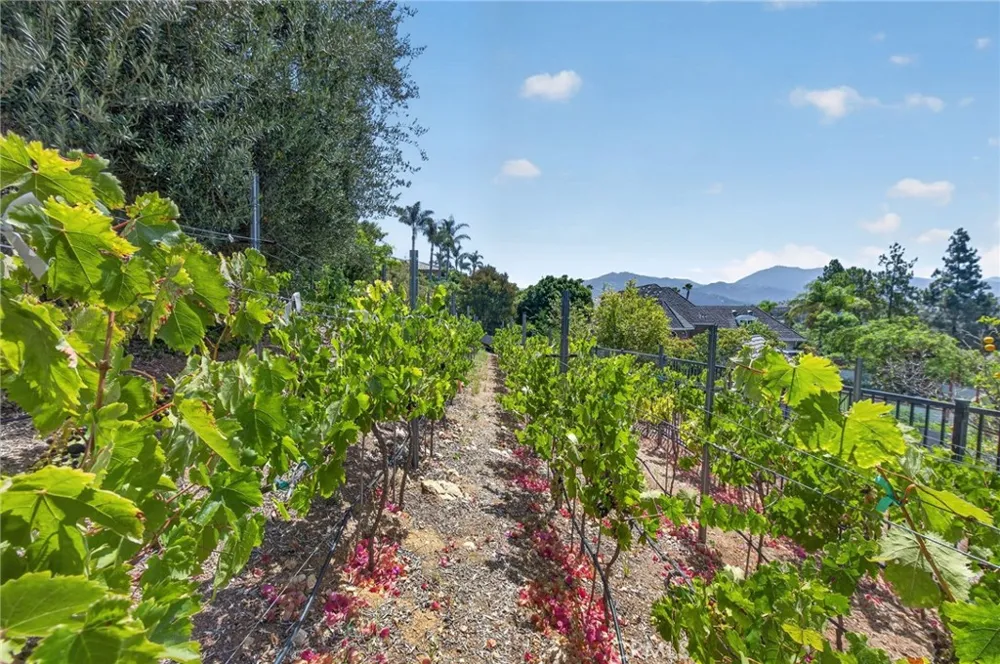 17943 Highlands Ranch Poway, CA 92064