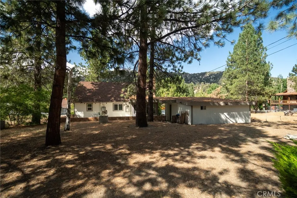 1081 Apple Avenue Wrightwood, CA 92397