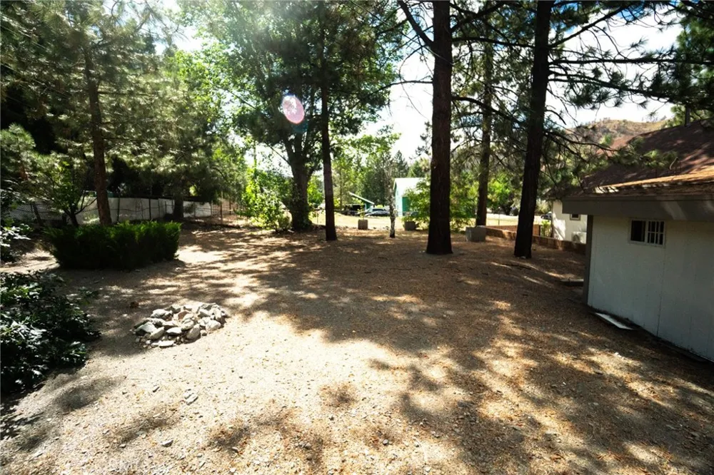 1081 Apple Avenue Wrightwood, CA 92397